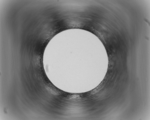 X0000097970162200803241027