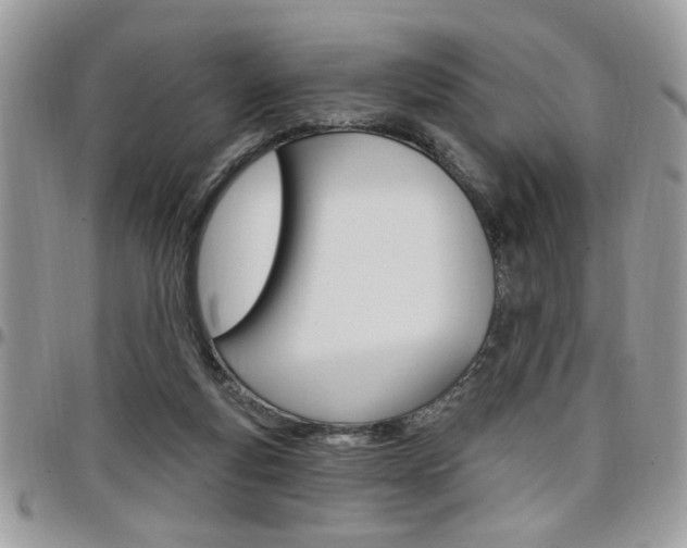 X0000097970163200803241027