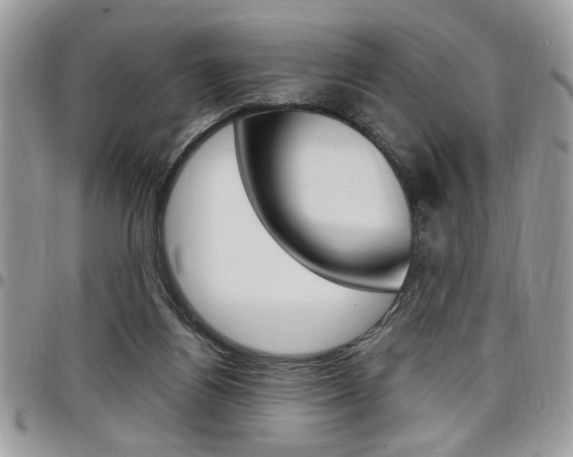 X0000097970164200803241027