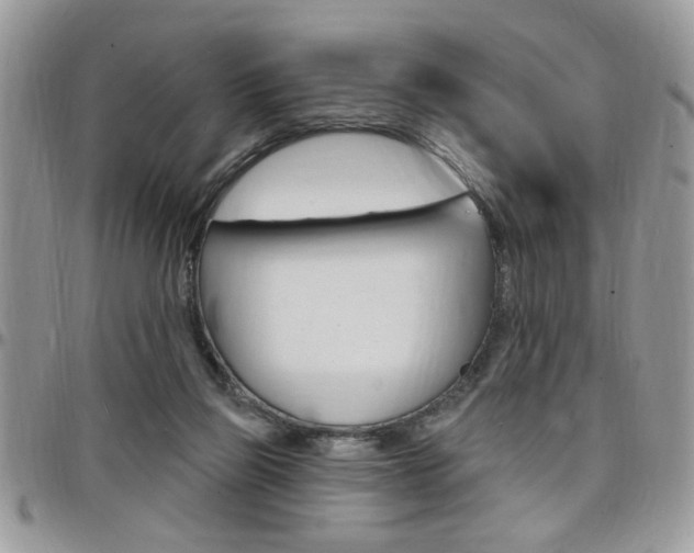 X0000097970165200803241027