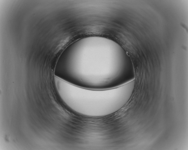 X0000097970168200803241027
