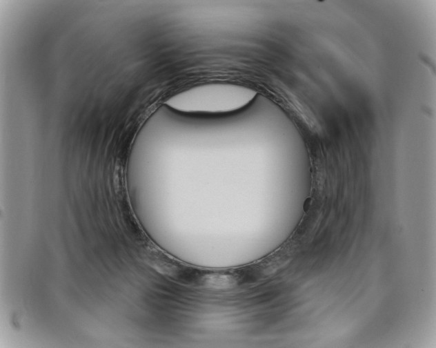 X0000097970169200803241027