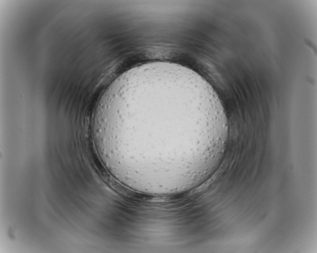 X0000097970171200803241027