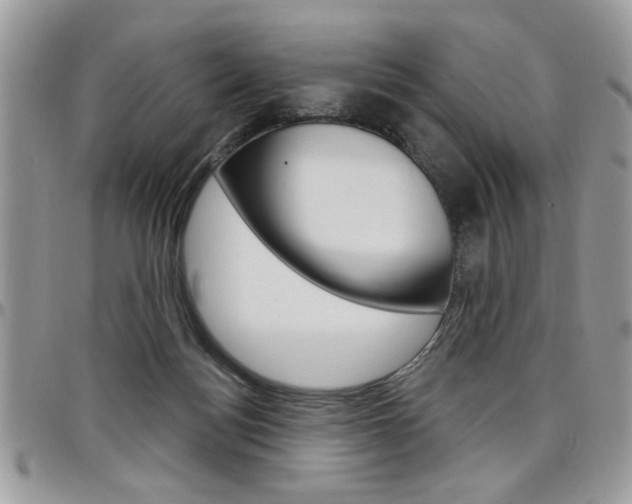 X0000097970172200803241027
