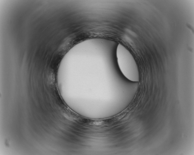 X0000097970173200803241027