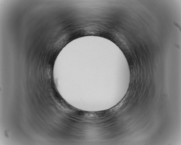 X0000097970174200803241027