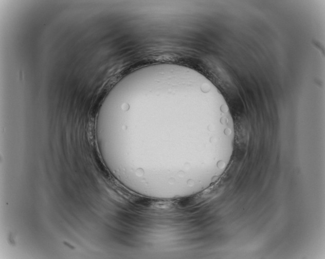 X0000097970175200803241027