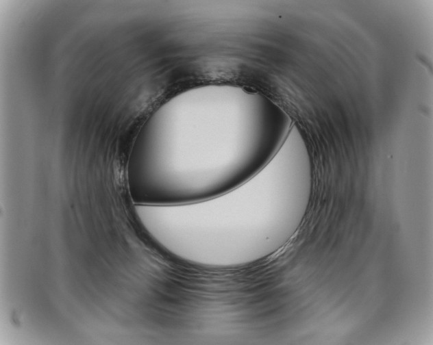 X0000097970176200803241027
