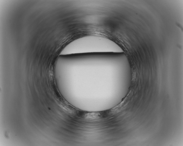 X0000097970179200803241027