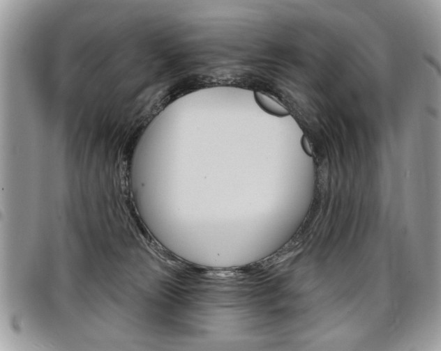 X0000097970181200803241027