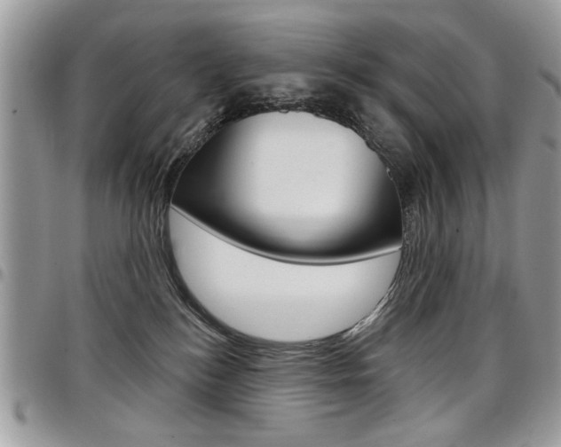 X0000097970184200803241027