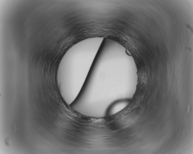 X0000097970185200803241027