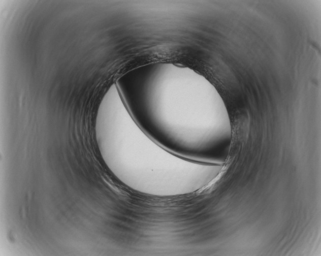 X0000097970186200803241027
