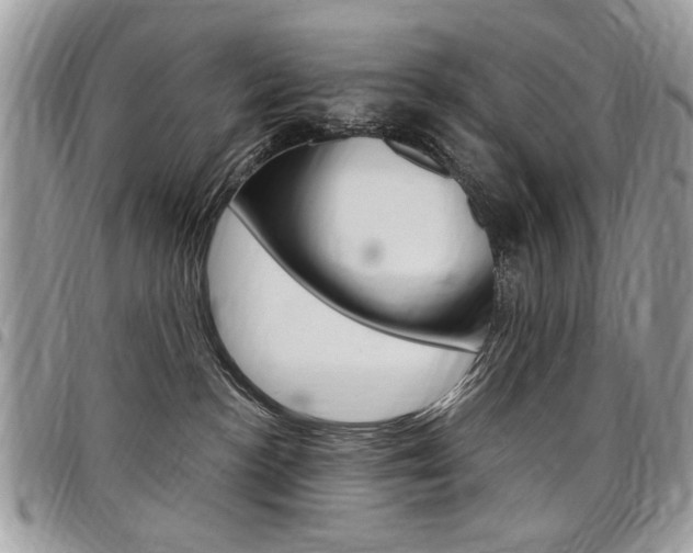 X0000097970188200803241027