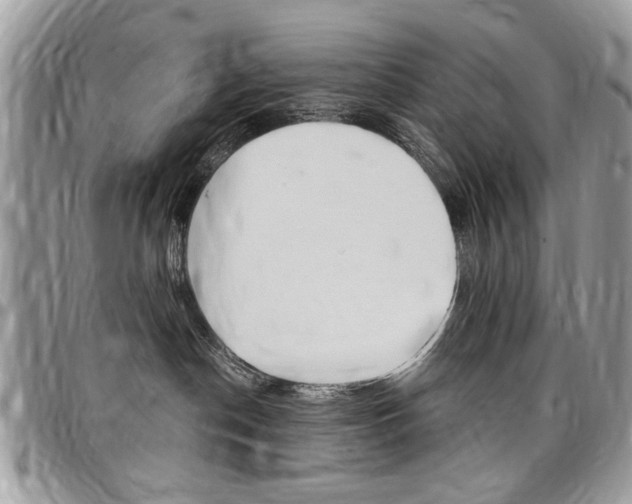 X0000097970190200803241027