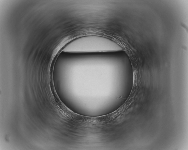X0000097970195200803241027