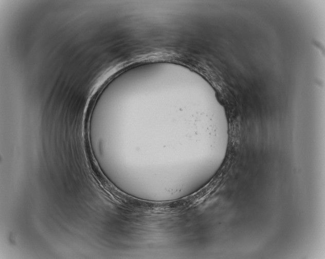 X0000097970196200803241027