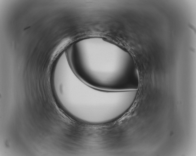 X0000097970197200803241027