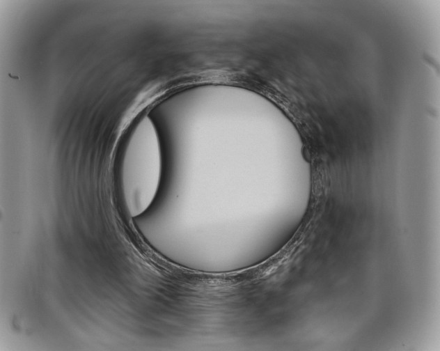X0000097970198200803241027