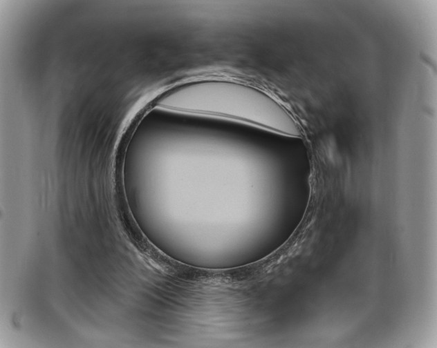 X0000097970200200803241027