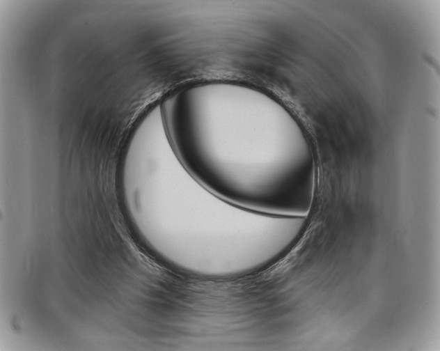 X0000097970201200803241027