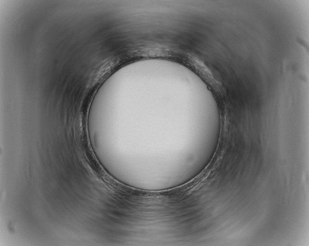 X0000097970202200803241027
