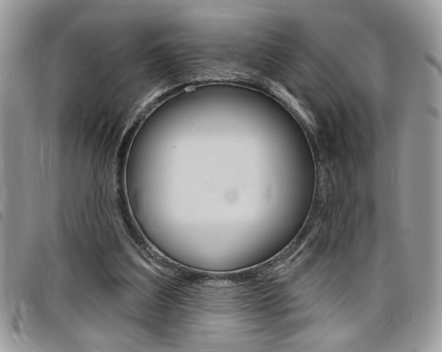 X0000097970203200803241027
