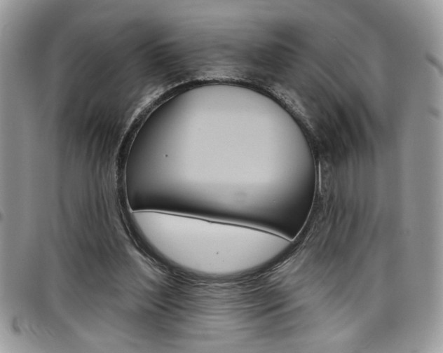 X0000097970204200803241026