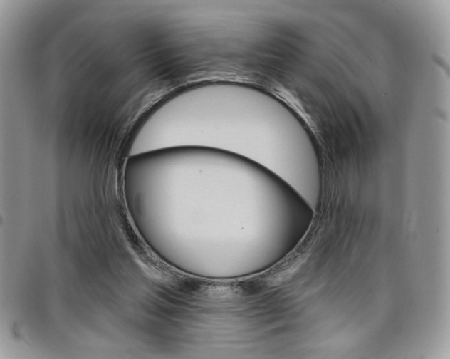 X0000097970205200803241026