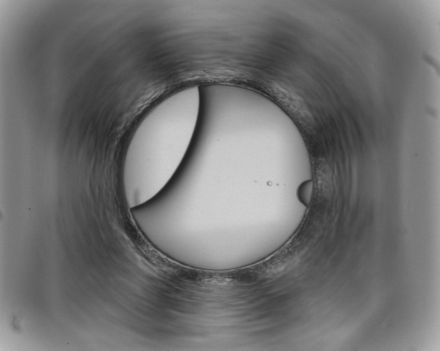 X0000097970206200803241026