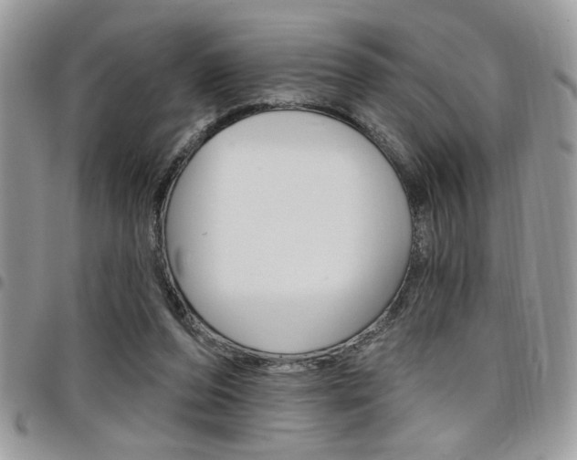 X0000097970208200803241026