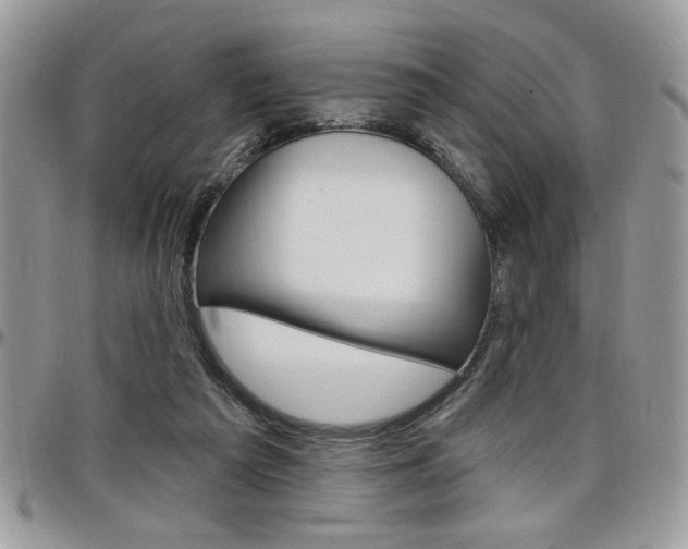 X0000097970209200803241026