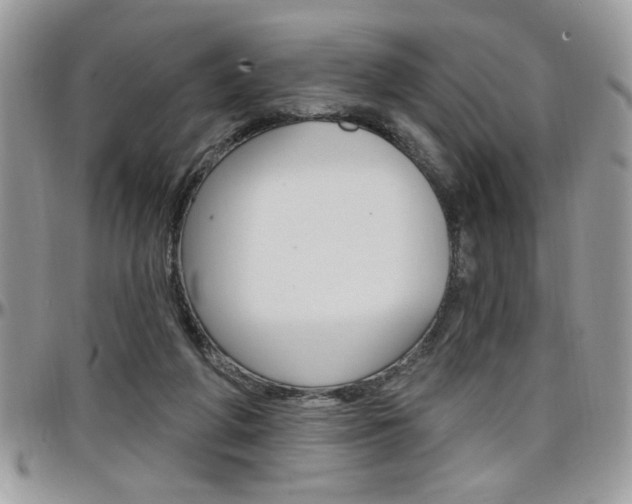 X0000097970210200803241026