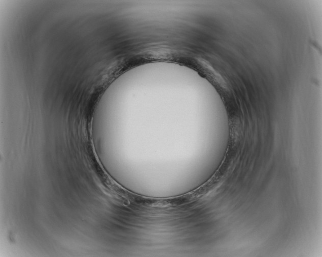 X0000097970213200803241026