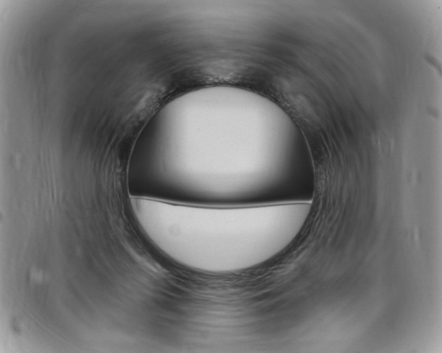 X0000097970215200803241026