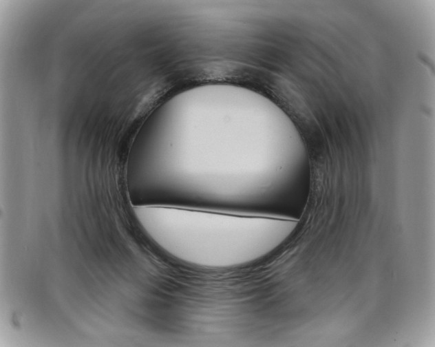 X0000097970216200803241026