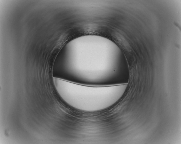 X0000097970217200803241026