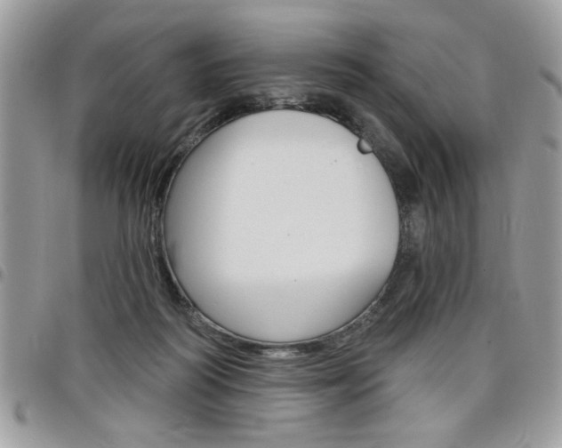 X0000097970218200803241026