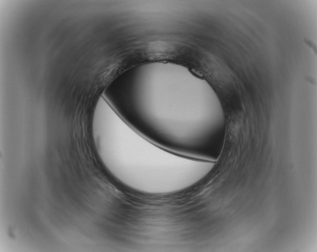 X0000097970219200803241026