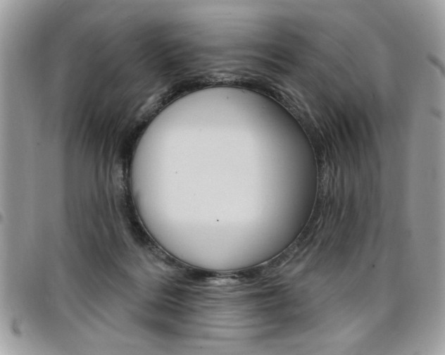 X0000097970220200803241026