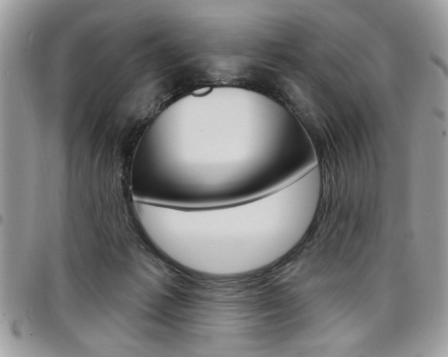 X0000097970221200803241026