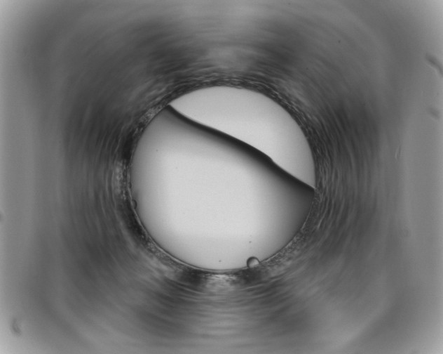X0000097970222200803241026