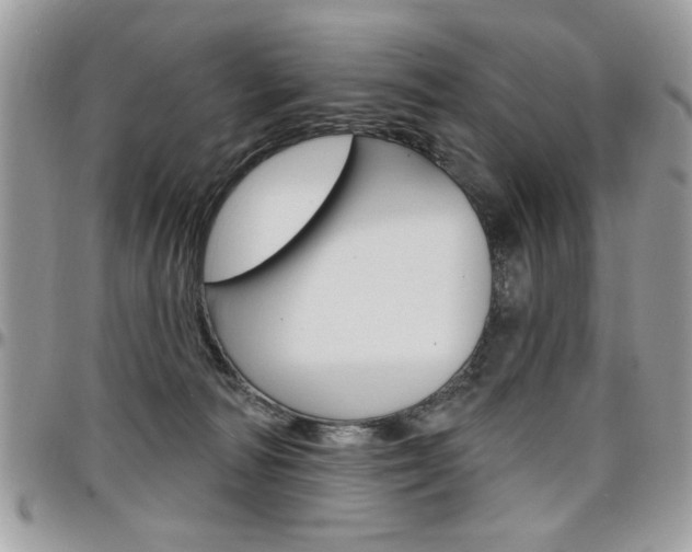 X0000097970226200803241026