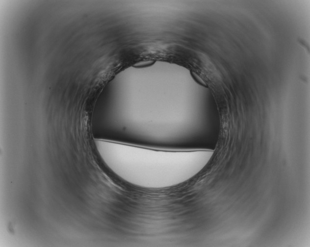 X0000097970231200803241026