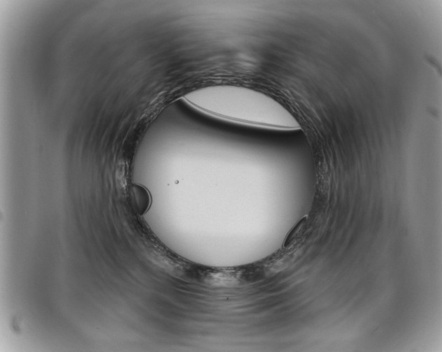 X0000097970232200803241026