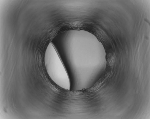 X0000097970235200803241026