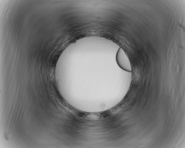 X0000097970236200803241026