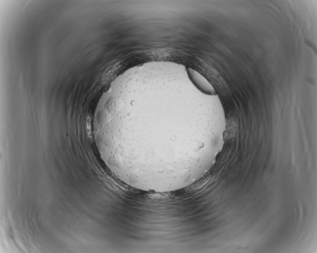 X0000097970238200803241026