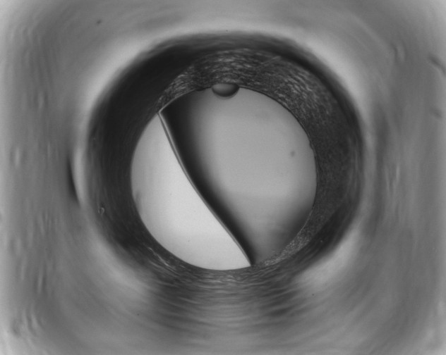 X0000097970239200803241026