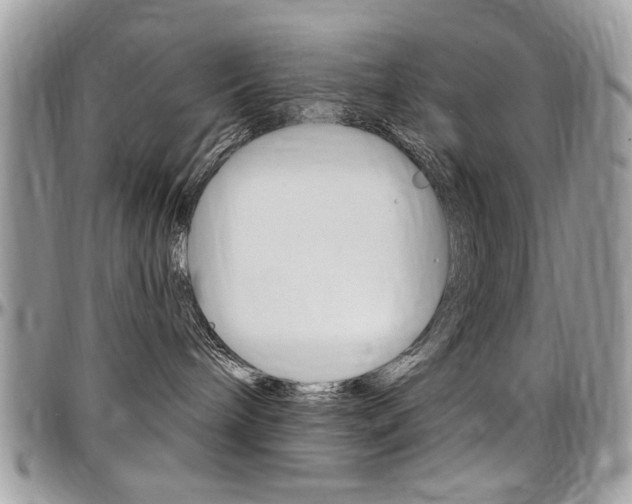 X0000097970240200803241026